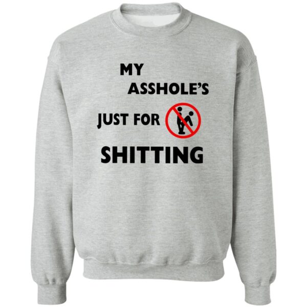 A**hole Just For Sh*tting Shirt - Image 3