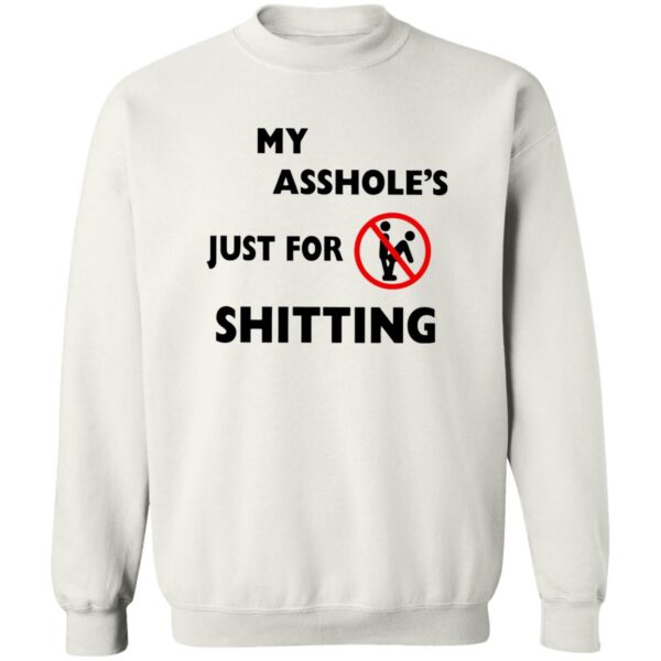 A**hole Just For Sh*tting Shirt - Image 4