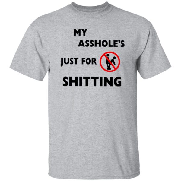 A**hole Just For Sh*tting Shirt - Image 5